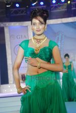 at Glam fashion show by All India Gems and Jewellery Trade Federation in Grand Hyatt, Mumbai on 8th Aug 2011 (97).JPG